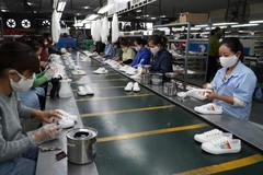 Các doanh nghiệp da giày đẩy mạnh sản xuất, tận dụng cơ hội từ các FTA để thúc đẩy xuất khẩu. (Ảnh: Đức Duy/Vietnam+)