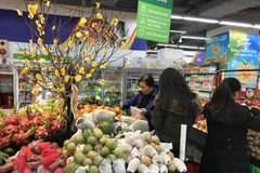 Ước tính tổng giá trị hàng hóa phục vụ Tết trên địa bàn Hà Nội đạt khoảng 39.000 tỷ đồng. (Ảnh: Đức Duy/Vietnam+)