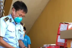 Lực lượng chức năng kiểm tra lô bành trung thu có dấu hiệu nhập lậu. (Ảnh: PV/Vietnam+)