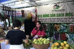 Lễ hội trái cây 2021 tại Hà Nội là cơ hội để các địa phương thực hiện hoạt động xúc tiến thương mại, nâng cao giá trị sản phẩm trái cây, nông sản. (Ảnh: Xuân Quảng/Vietnam+) 