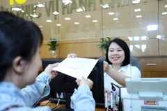 Tiếp nhận và giải quyết hồ sơ của các sở, ban, ngành tại Trung tâm Phục vụ hành chính công tỉnh Bắc Giang. (Ảnh: Danh Lam/TTXVN)