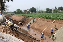 Quảng Nam hỗ trợ 80 tỷ đồng vốn vay ưu đãi khu vực nông thôn