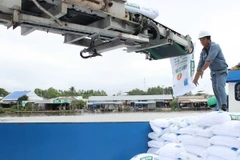 Vận chuyển đạm urê của Công ty trách nhiệm hữu hạn một thành viên Phân bón Dầu khí Cà Mau xuống xà làn đi tiêu thụ. (Ảnh: Huỳnh Thế Anh/TTXVN)