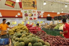 Kim ngạch xuất nhập khẩu Việt Nam và Singapore tăng 22,4%