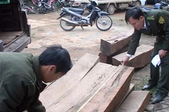 (Ảnh minh họa: Hồ Cầu/TTXVN)