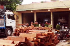 (Ảnh minh họa: Hồ Cầu/TTXVN)