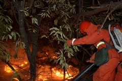 Cháy rừng từ Indonesia gây ô nhiễm không khí ở Singapore