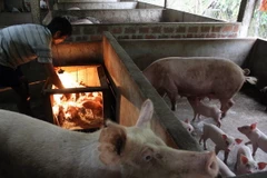 45 năm theo Di chúc Bác: Không ngừng chăm lo đời sống nhân dân