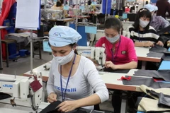 (Ảnh minh họa: Đình Huệ/TTXVN)