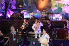 An Giang: Sẵn sàng cho Festival Đờn ca tài tử quốc gia 