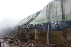 Bình Dương dập tắt đám cháy tại Công ty giày Thái Vĩnh Thắng