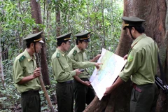 Lâm Đồng thu hồi 164 dự án thuê đất rừng với diện tích 25.332ha