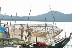 Sản lượng khai thác thủy sản ở hồ Dầu Tiếng tăng gấp 6 lần