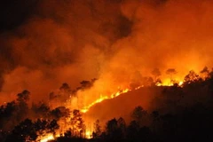 Khu rừng bị cháy. (Ảnh: Văn Đức/Vietnam+)