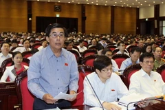 Đại biểu Quốc hội tỉnh Tiền Giang Trần Văn Tấn phát biểu ý kiến tại kỳ họp ngày 21/5. (Ảnh: Nguyễn Dân/TTXVN)