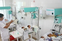 (Ảnh minh họa: Hồ Cầu/TTXVN)