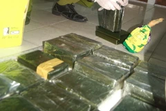 (Ảnh minh họa: Dương Chí Tưởng/TTXVN)