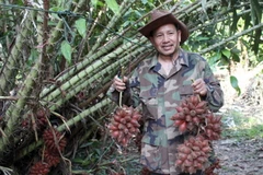 Người Thái bảo vệ biên giới lãnh thổ rất đa dạng, đơn giản