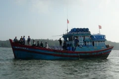 (Ảnh minh họa: Định Thị Hương/TTXVN)