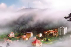 Tam Đảo mù trong sương. (Nguồn: tamdao.vinhphuc.gov.vn)