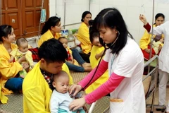 (Ảnh minh họa: Dương Ngọc/TTXVN)