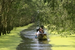 Hấp dẫn du lịch trải nghiệm mùa nước nổi ở Vườn Tràm Chim