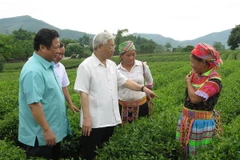 Tuyên Quang tập trung phát triển nông, lâm nghiệp chất lượng cao