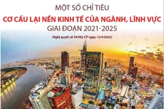 Một số chỉ tiêu cơ cấu lại kinh tế ngành, lĩnh vực giai đoạn 2021-2025