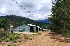 (Ảnh minh họa: Dư Toán/TTXVN)