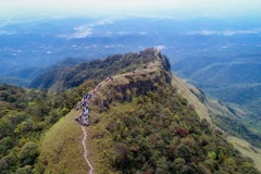 Nếu như Mẫu Sơn thường được người dân Lạng Sơn gọi là Núi Mẹ thì Phja Pò lại được người địa phương gọi là Núi Cha. (Ảnh: Anh Tuấn/TTXVN)