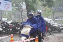 (Ảnh: Bích Huệ/TTXVN)