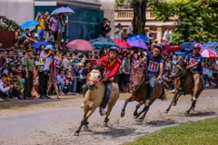 Sáng 31/5, vòng chung kết giải đua ngựa truyền thống Bắc Hà mở rộng năm 2020 đã chính thức được diễn ra tại thị trấn Bắc Hà, Lào Cai. (Ảnh: PV/Vietnam+)