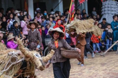 Sáng 28/1 (mùng 4 Tết Canh Tý), người dân xã Đại Đồng (Vĩnh Tường, Vĩnh Phúc) lại nô nức đi xem lễ hội cày bừa ngày xuân khởi động cho mùa lao động mới. (Ảnh: PV/Vietnam+)