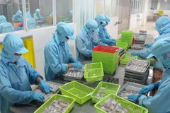 Chỉ số PMI tháng Mười giảm nhưng tốc độ tạo việc làm tăng nhanh