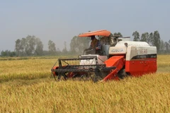 Ảnh minh họa. (Nguồn: Agribank).