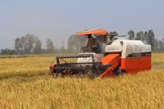 Ảnh minh họa. (Nguồn: Agribank).