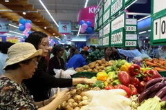 (Ảnh minh họa: Thanh Vũ/TTXVN)