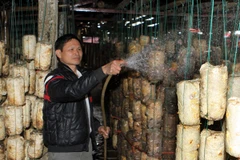 Lần đầu tiên cố định lãi suất ưu đãi tới 2 năm cho bất động sản