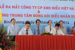 TPBank tài trợ tín dụng cho Vietcashew để chế biến điều 