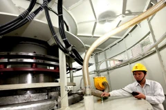 Ảnh minh họa. (Ảnh: Ngọc Hà/TTXVN).