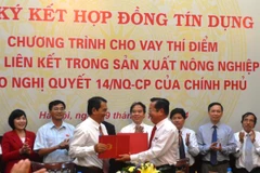 Lãnh đạo các bên tham gia ký kết. (Ảnh: Huy Thắng/Vietnam+).