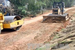 Ảnh minh họa. (Nguồn: TTXVN).