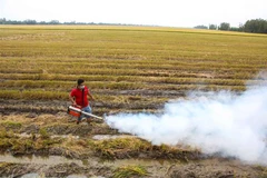Trình diễn máy phun khói sinh học giúp diệt trừ sâu bệnh trong sản xuất lúa. (Ảnh minh họa: Thanh Liêm/TTXVN)