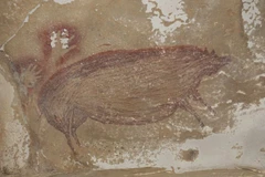 Bức tranh được phát hiện trong hang động Leang Tedongnge. (Nguồn: ABC.net.au)