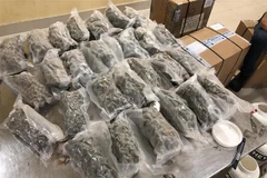 (Ảnh minh họa: TTXVN phát)