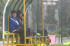 Gần nửa đội hình Olympic Việt Nam dính chấn thương 