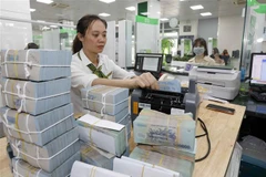 (Ảnh minh họa: Trần Việt/TTXVN)