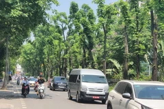 (Ảnh: Huy Khánh/Vietnam+)