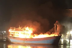 Nhiều tàu cá bị lửa thiêu rụi tại cảng cá Lạch Quèn, huyện Quỳnh Lưu (Nghệ An). (Ảnh: TTXVN phát)