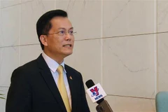 Thứ trưởng Bộ Ngoại giao Hà Kim Ngọc trả lời phỏng vấn TTXVN về kết quả chuyến thăm Ai Cập của Phó Thủ tướng Chính phủ Trần Lưu Quang. (Ảnh: Nguyễn Trường/TTXVN)